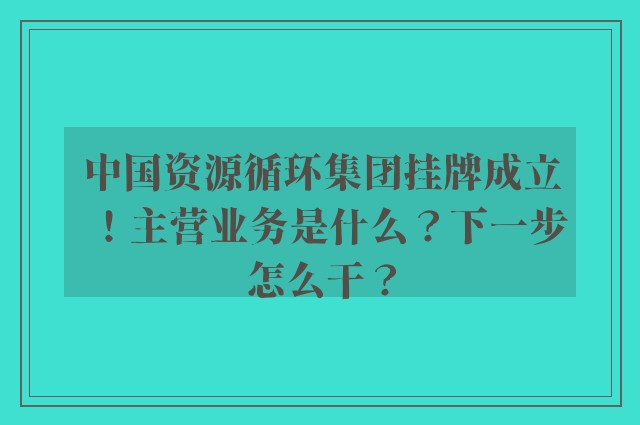 中国资源循环集团挂牌成立！主营业务是什么？下一步怎么干？